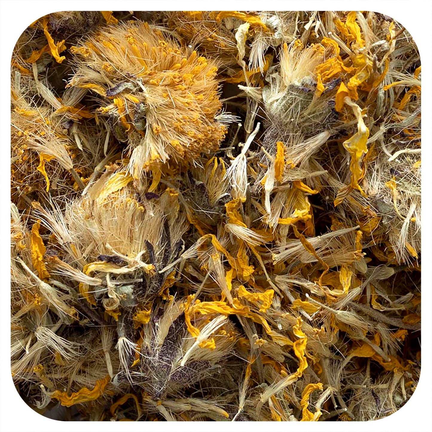Frontier Co-op Arnica Flowers Whole 8 oz (226 g)