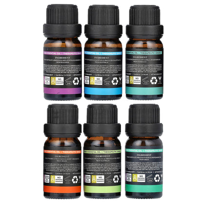 artnaturals Top 6 Essential Oils Set 6 Piece Set .33 fl oz (10 ml) Each