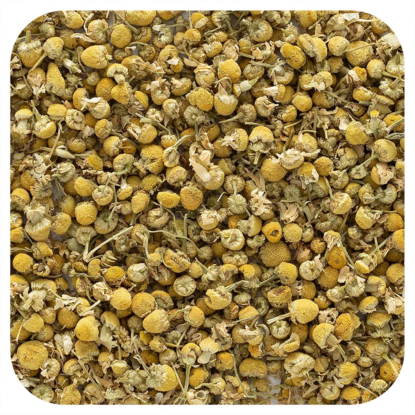 Frontier Co-op Organic Whole German Chamomile Flowers 16 oz (453 g)