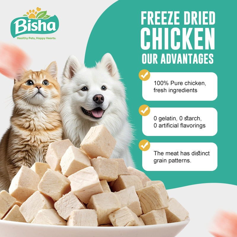 Bisha freeze-dried chicken product with a cat and dog, highlighting advantages on a green background.