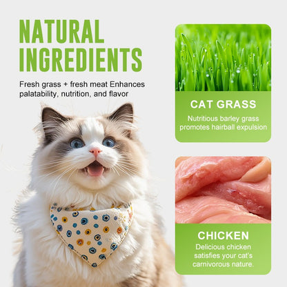 Cat with a bandana, surrounded by text about natural ingredients like cat grass and chicken.