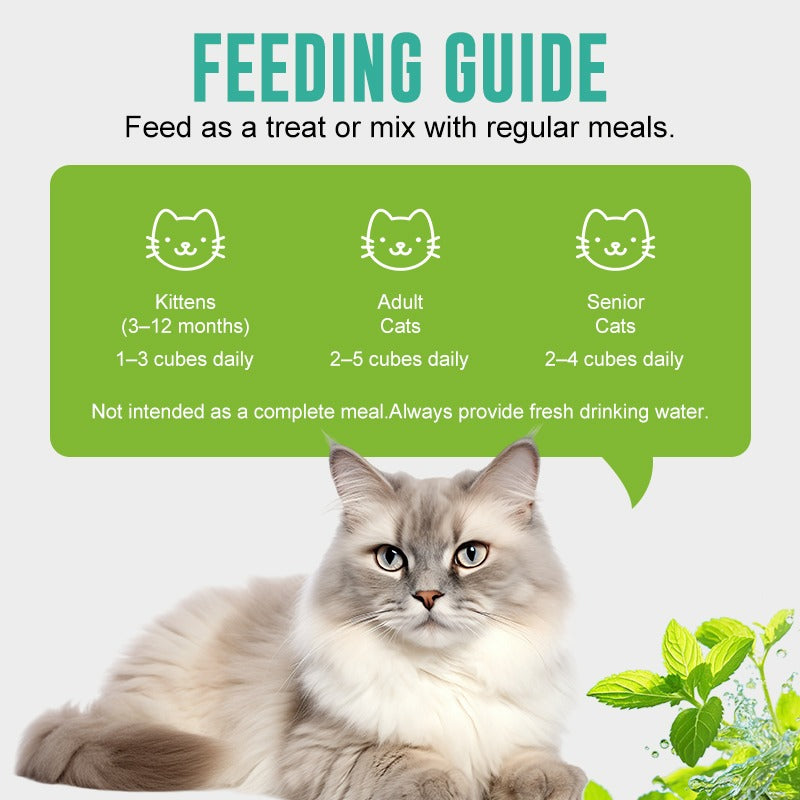 Cat with feeding guide for kittens, adult cats, and senior cats on a green background