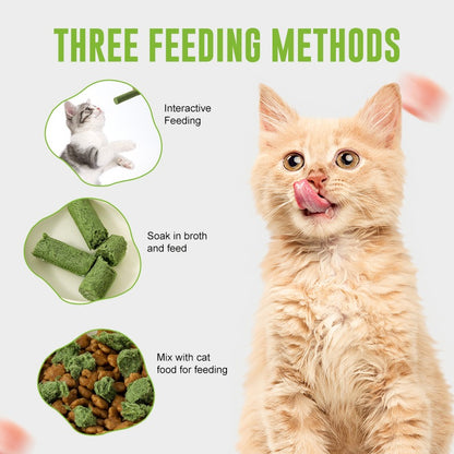 Cat with text on three feeding methods and images of cat food.