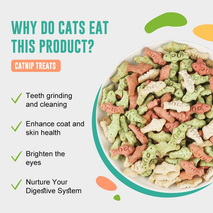 Catnip treats in a bowl with text explaining benefits on a white background