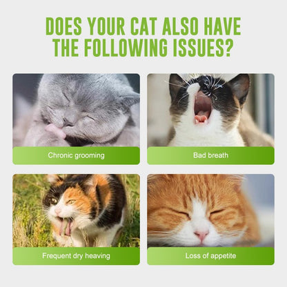 Four images of cats with text labels on a light gray background