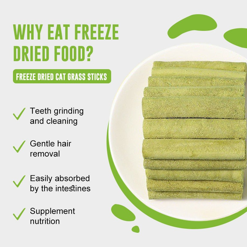 Freeze dried cat grass sticks with benefits listed on a white background